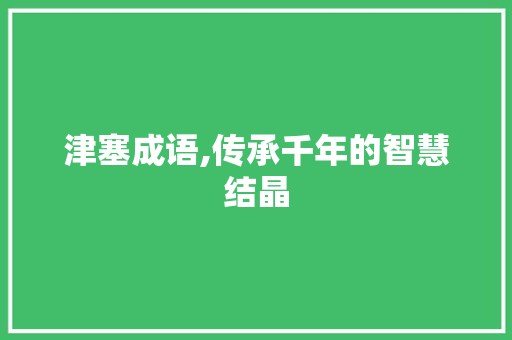 津塞成语,传承千年的智慧结晶