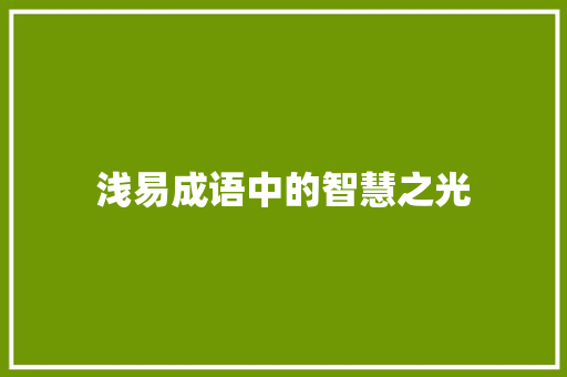浅易成语中的智慧之光