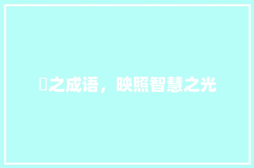 烞之成语，映照智慧之光