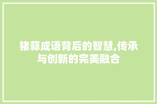 猪蒜成语背后的智慧,传承与创新的完美融合