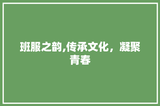 班服之韵,传承文化，凝聚青春