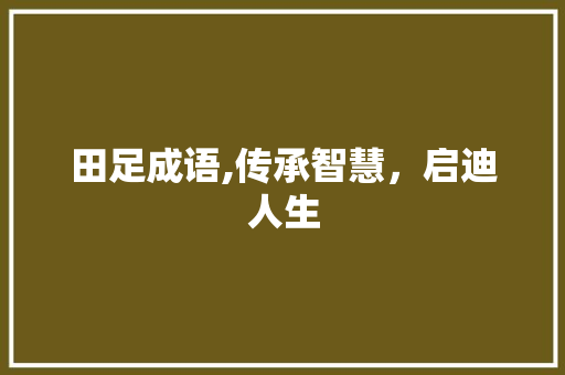 田足成语,传承智慧，启迪人生