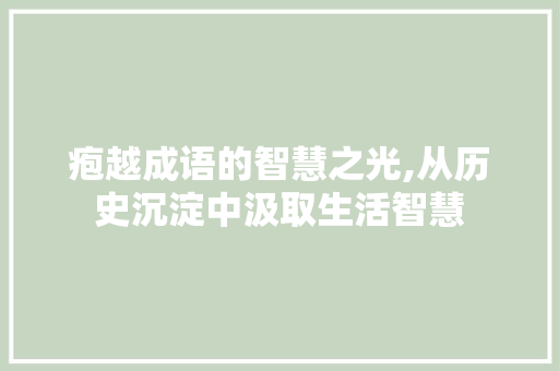 疱越成语的智慧之光,从历史沉淀中汲取生活智慧