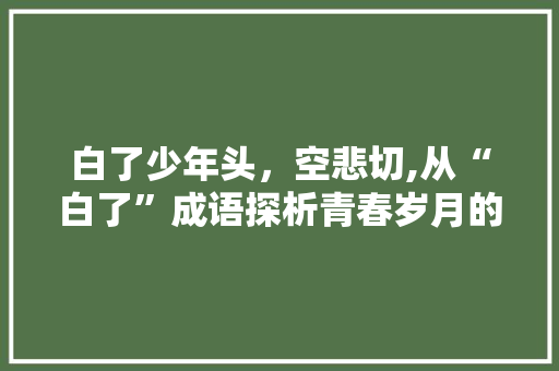 白了少年头，空悲切,从“白了”成语探析青春岁月的宝贵