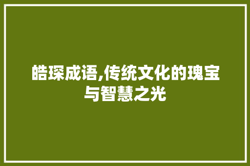 皓琛成语,传统文化的瑰宝与智慧之光