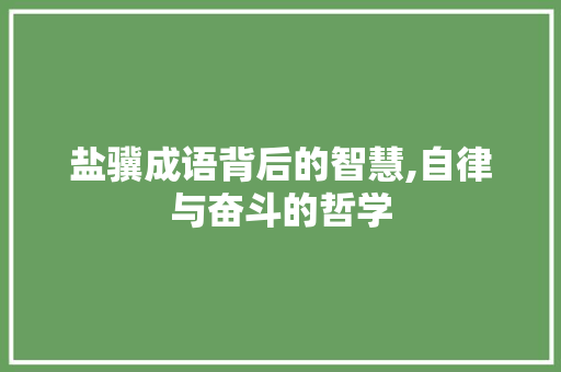 盐骥成语背后的智慧,自律与奋斗的哲学