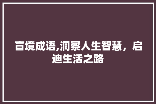 盲境成语,洞察人生智慧，启迪生活之路