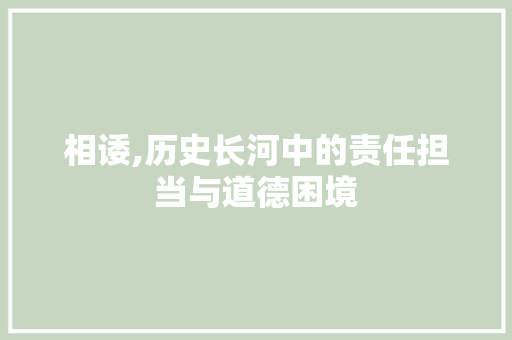 相诿,历史长河中的责任担当与道德困境
