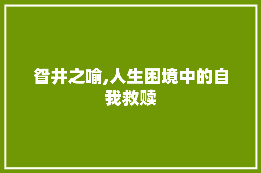 眢井之喻,人生困境中的自我救赎