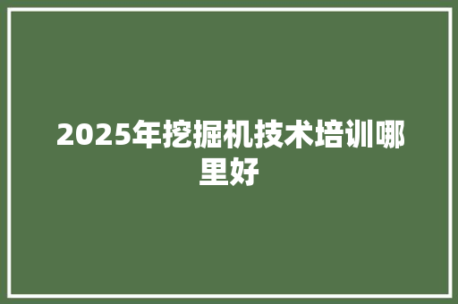 2025年挖掘机技术培训哪里好