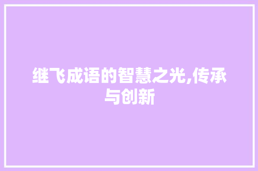 继飞成语的智慧之光,传承与创新