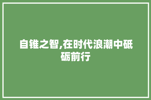 自锥之智,在时代浪潮中砥砺前行