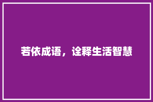若依成语，诠释生活智慧