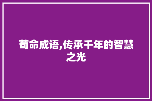 荀命成语,传承千年的智慧之光