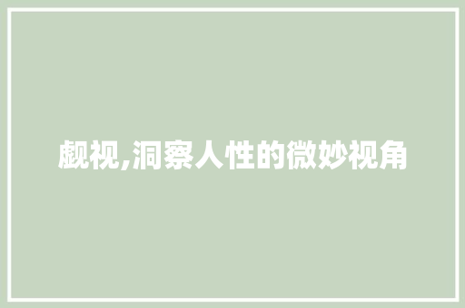 觑视,洞察人性的微妙视角