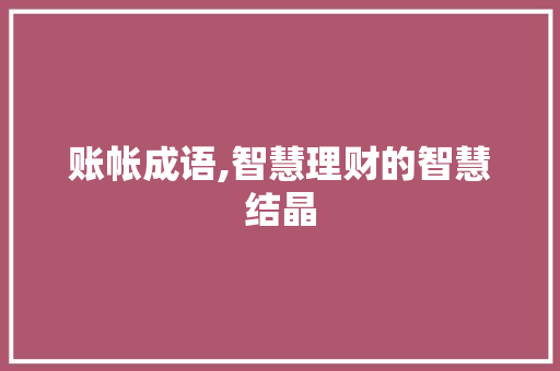 账帐成语,智慧理财的智慧结晶