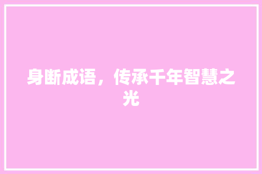 身断成语，传承千年智慧之光