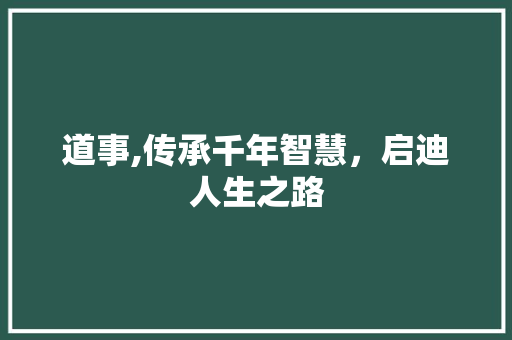 道事,传承千年智慧，启迪人生之路
