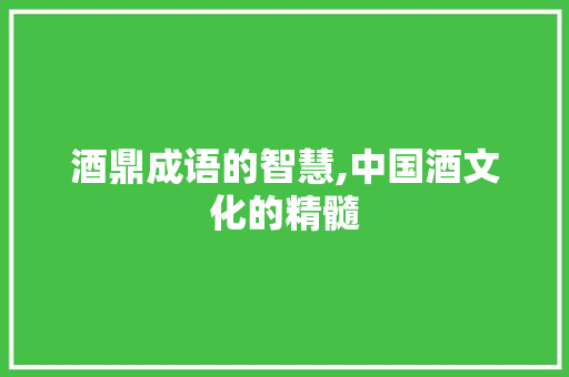 酒鼎成语的智慧,中国酒文化的精髓