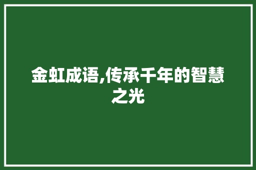 金虹成语,传承千年的智慧之光