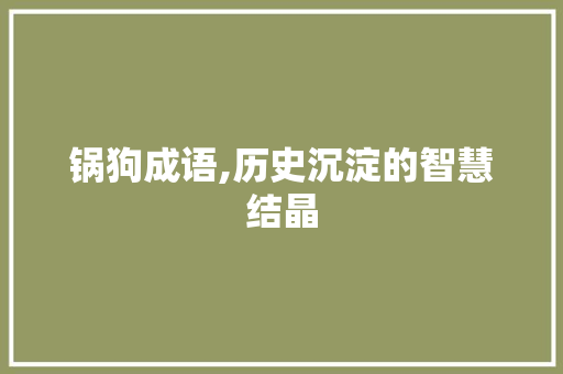 锅狗成语,历史沉淀的智慧结晶