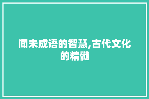 闻未成语的智慧,古代文化的精髓
