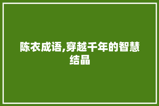 陈衣成语,穿越千年的智慧结晶