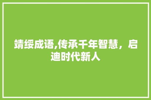 靖绥成语,传承千年智慧，启迪时代新人