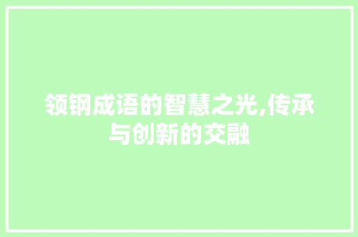 领钢成语的智慧之光,传承与创新的交融