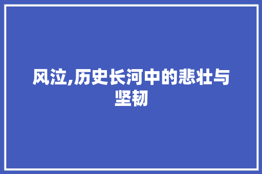 风泣,历史长河中的悲壮与坚韧