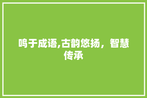 鸣于成语,古韵悠扬，智慧传承