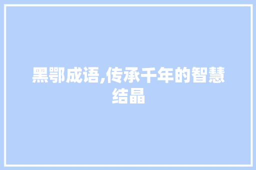 黑鄂成语,传承千年的智慧结晶 职场应用