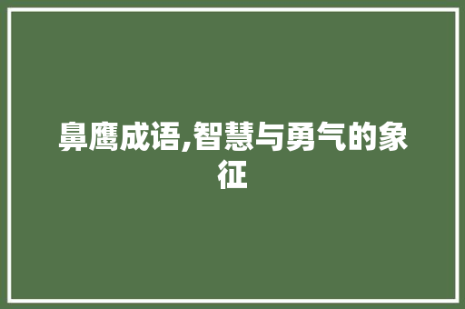 鼻鹰成语,智慧与勇气的象征