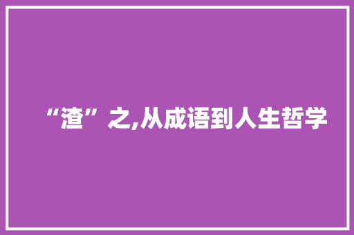 “渣”之,从成语到人生哲学