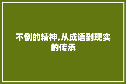 不倒的精神,从成语到现实的传承