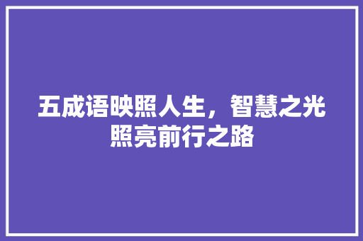 五成语映照人生，智慧之光照亮前行之路