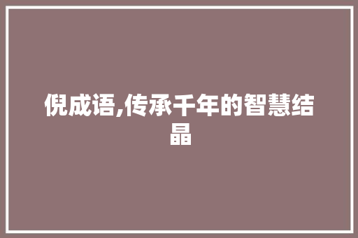 倪成语,传承千年的智慧结晶
