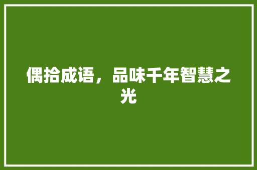 偶拾成语，品味千年智慧之光