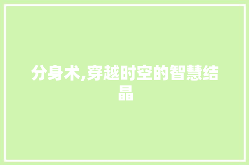分身术,穿越时空的智慧结晶