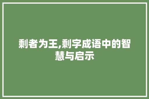 剩者为王,剩字成语中的智慧与启示