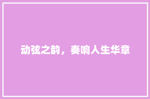 动弦之韵，奏响人生华章