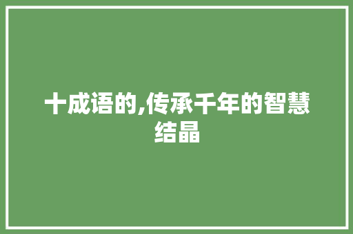 十成语的,传承千年的智慧结晶
