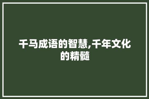 千马成语的智慧,千年文化的精髓
