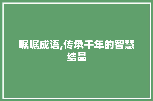 嘱嘱成语,传承千年的智慧结晶