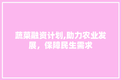 蔬菜融资计划,助力农业发展，保障民生需求
