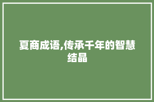 夏商成语,传承千年的智慧结晶