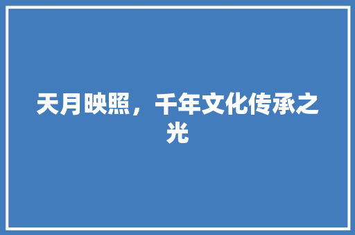 天月映照，千年文化传承之光