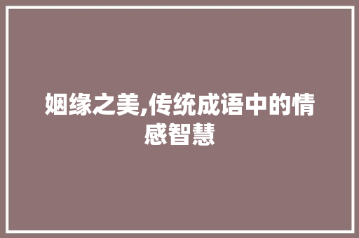 姻缘之美,传统成语中的情感智慧