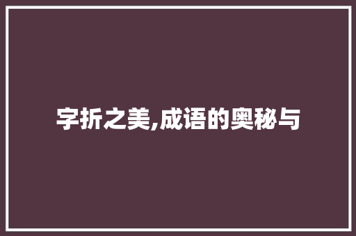 字折之美,成语的奥秘与