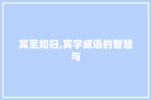 宾至如归,宾字成语的智慧与